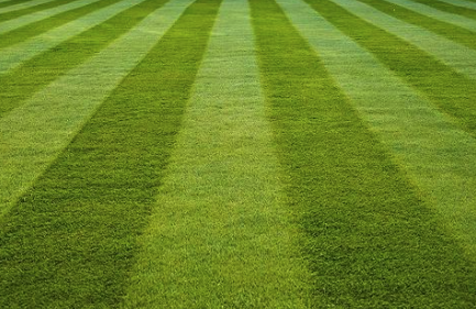 4 Point Lawncare LLC