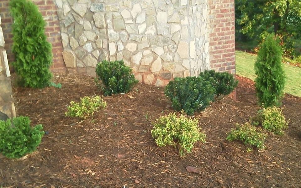 Advance Lawn Care LLC